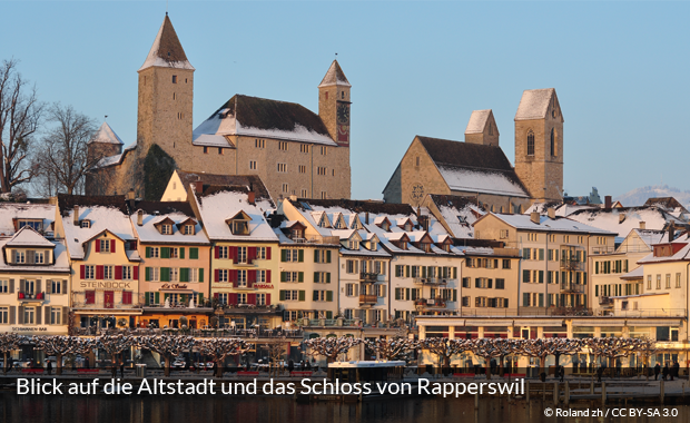 Altstadt und Schloss von Rapperswil