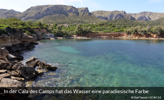 Der Strand in der Cala des Camps auf Mallorca