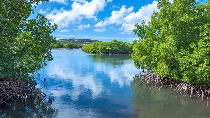 Culebra ist eine der schönsten karibischen Inseln