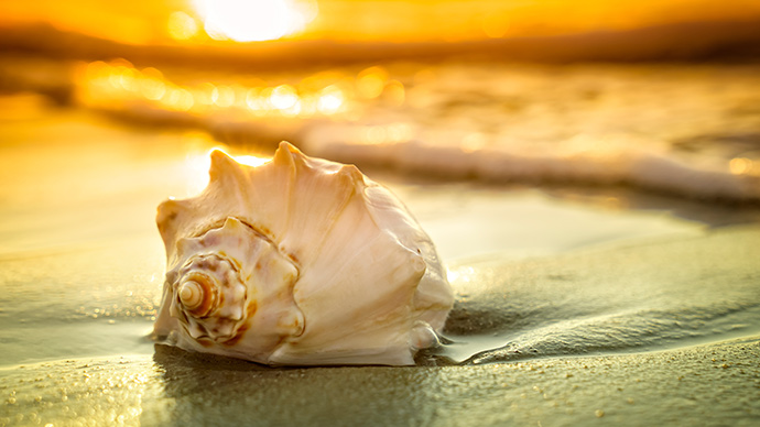 Mit Schärfentiefe werden Urlaubsfotos schöner