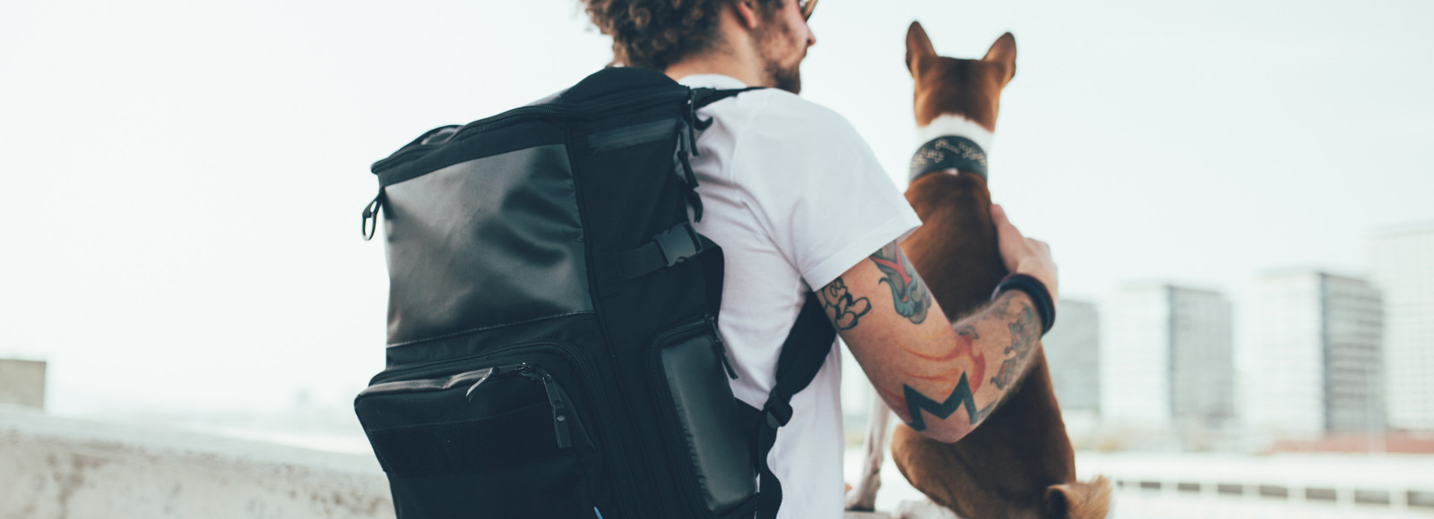 7 essentielle Tipps für eine Reise mit Hund