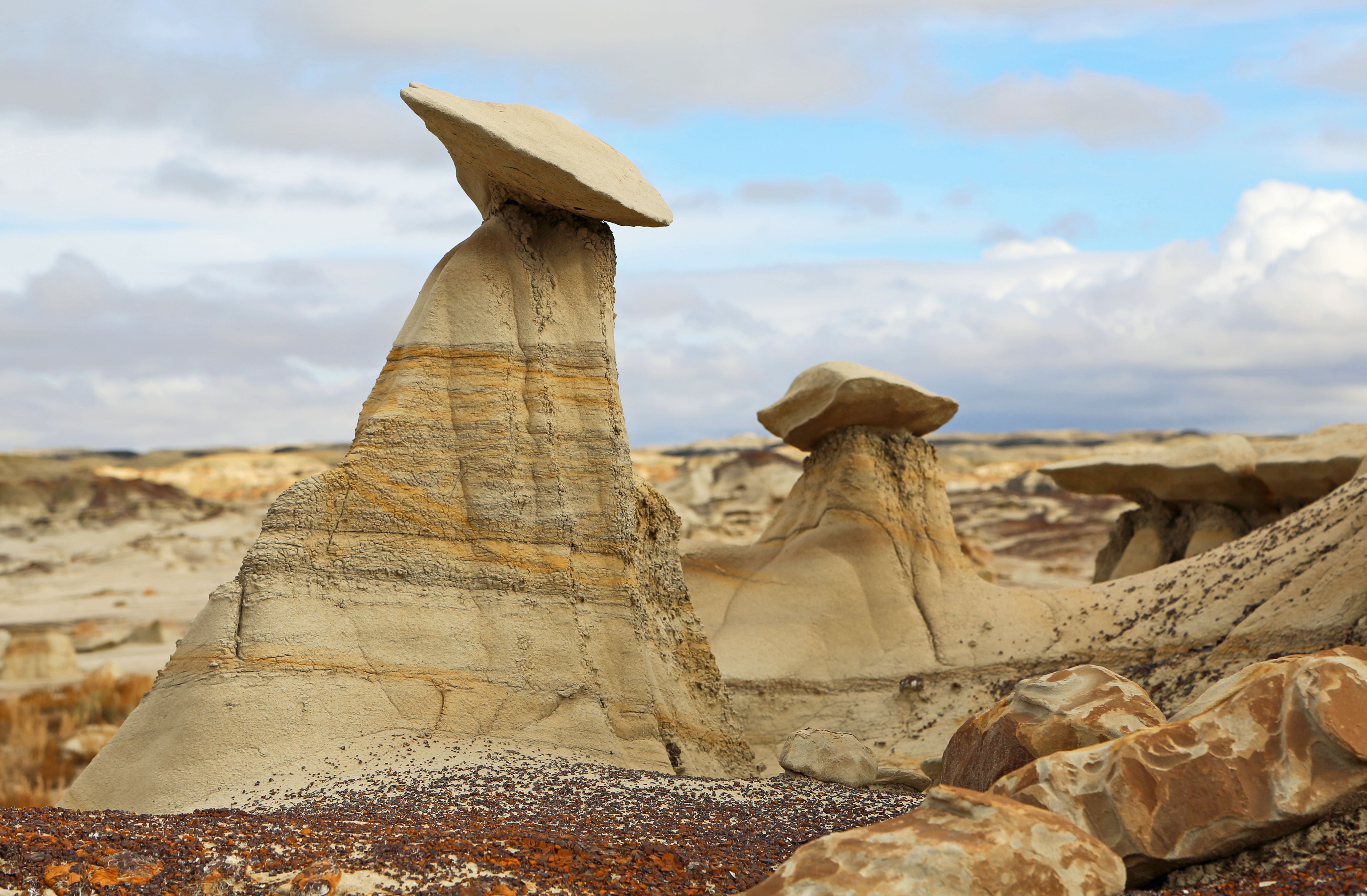 Günstige Hotels in Bloomfield checkfelix