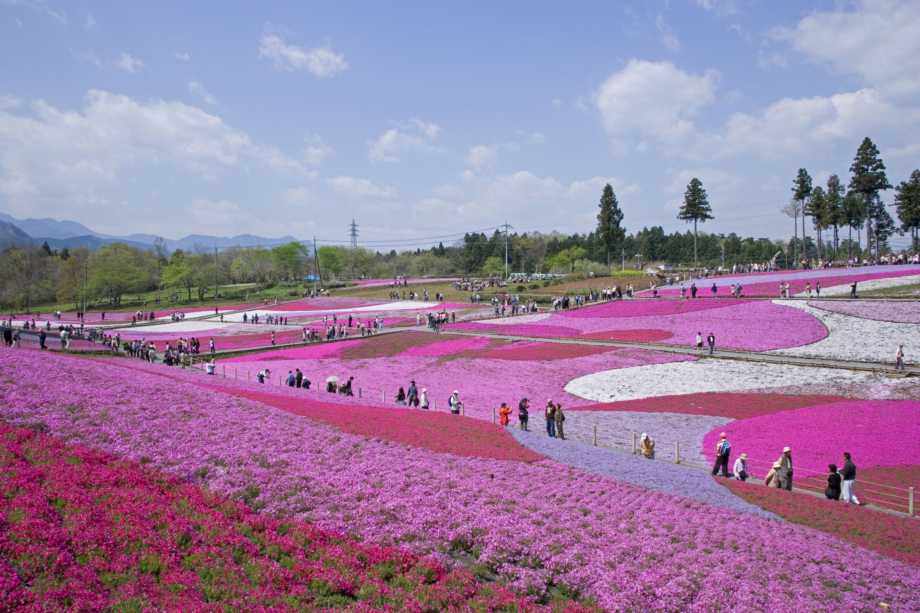 Günstige Hotels in Chichibu ab € 40 checkfelix