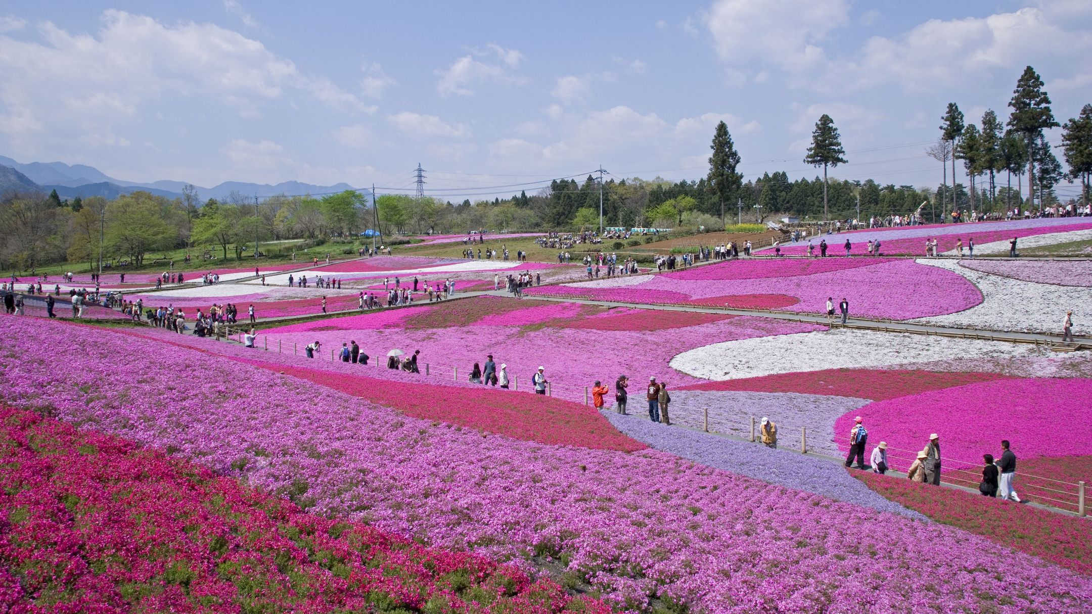 Günstige Hotels in Chichibu ab € 40 checkfelix