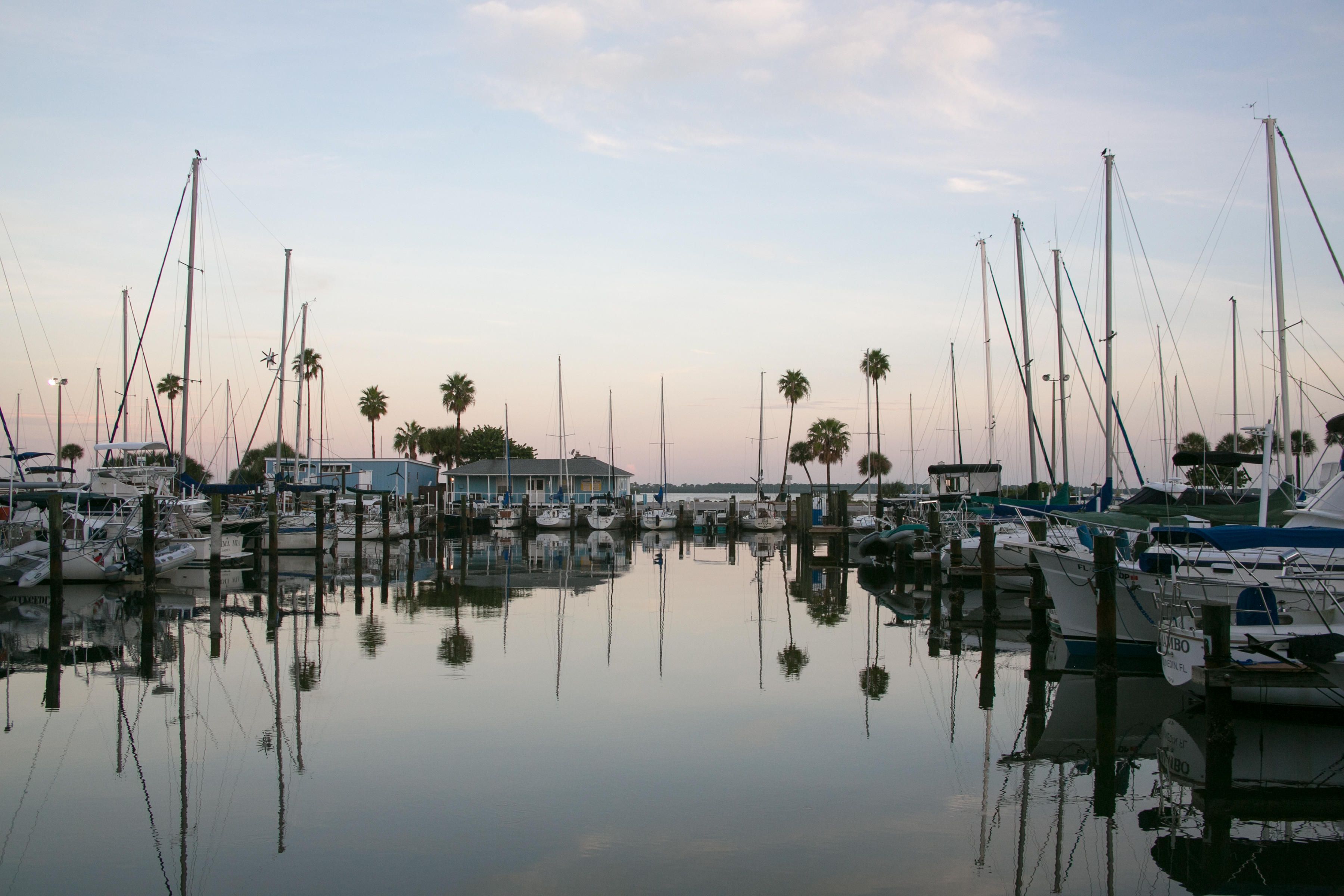 Günstige Hotels in Dunedin ab € 107 checkfelix