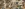 preload