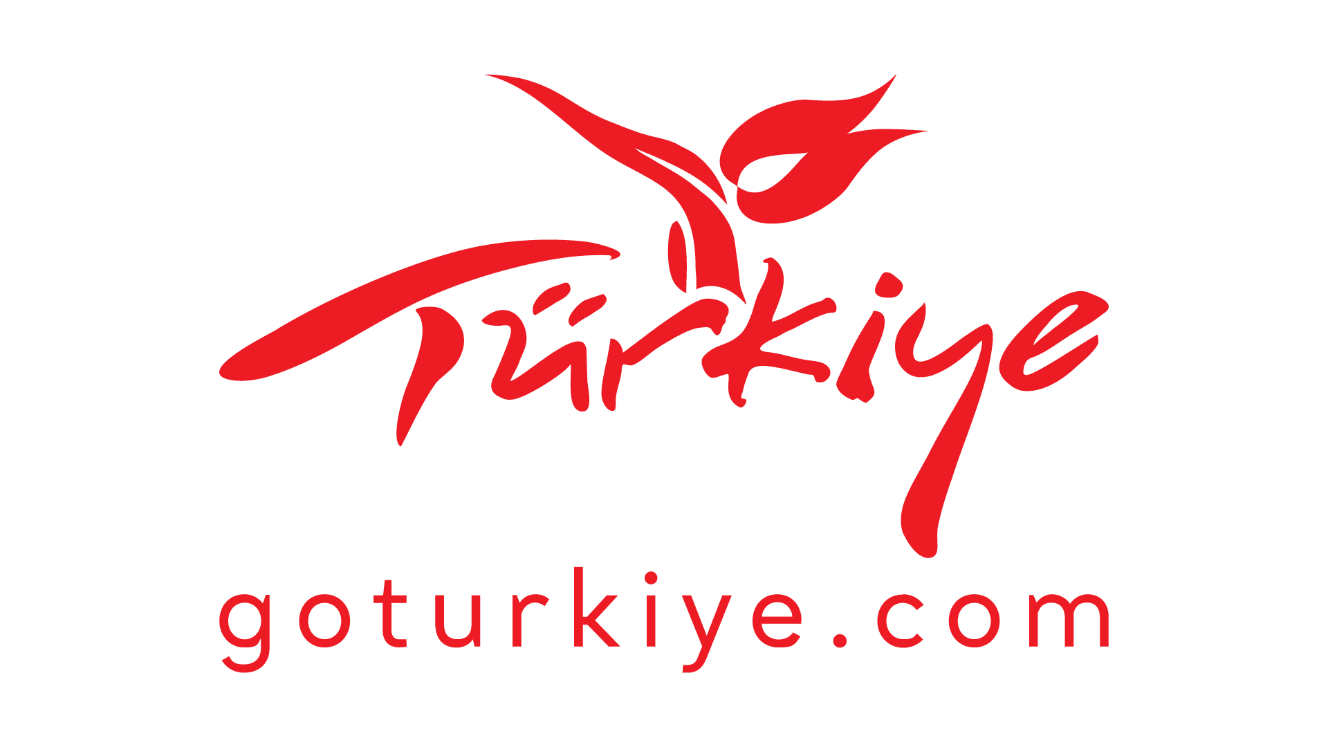 goturkiye_red_big-1-1