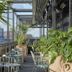 Andere